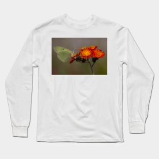 Sulphur butterfly - Algonquin Park, Canada Long Sleeve T-Shirt